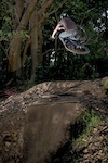 table into the step up/berm. photo by Rohan Batt