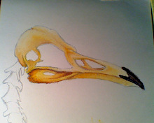 Did this when I was bored. Oil pastels. Not finished.
