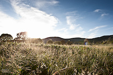 Early evening over the Tuscan meadows.