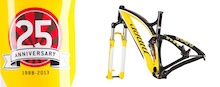 IMBA Themed Niner Jet 9 RDO Framesets Up For Auction