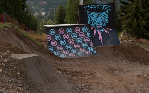 Kona wall ride and quarter