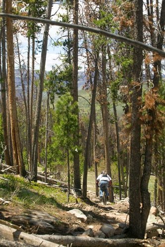 A great day for singletrack and solitude in the mountains.